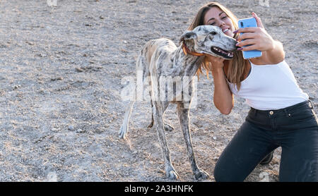 Parco, Vista laterale, grigio, Nizza, felice, pastore, pet, animali, cercando, n Foto Stock