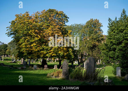 Early Autumn in Morningside Cemetery, Edinburgh, Scotland, UK. Foto Stock