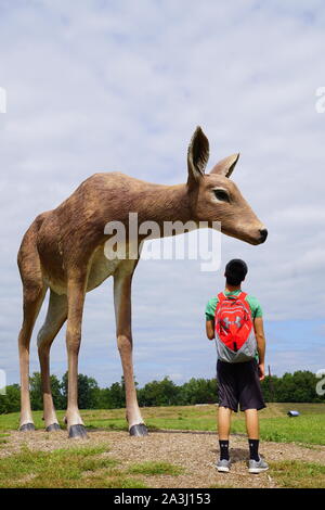 Arte Omi, un museo a cielo aperto la visualizzazione di opere d'arte e le sculture che si trovano nella contea Columbia a Gand, Upstate New York. Foto Stock