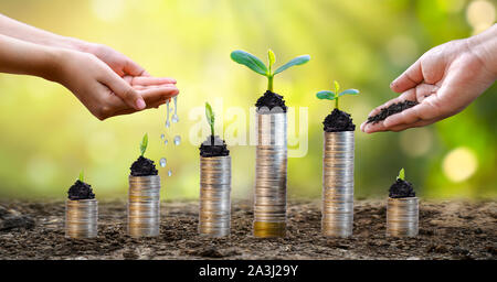 La crescita di denaro per un risparmio di denaro. Albero superiore monete al concetto illustrato ai cambiamenti di un business in espansione Foto Stock