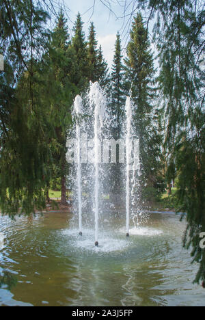 Un piccolo e semplice fontana nel parco in Germania vith la vista di abeti in background Foto Stock