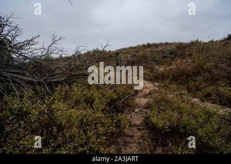 Habitat del rosso-sided Gartersnake (Thamnophis sirtalis parietalis) da Yuma County, Colorado, Stati Uniti d'America. Foto Stock