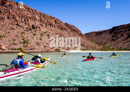 Un gruppo di eco-turisti la pala a un bay off Isla Espíritu Santo nel Golfo di California offshore di La Paz sulla penisola della Baja California, Messico Foto Stock