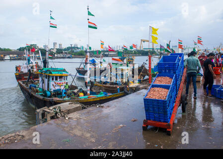 Persone indiane che lavorano a Sassoon Docks a Mumbai India Foto Stock