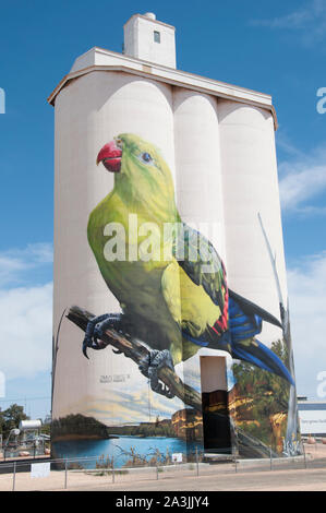 Arte Silo da Jimmy Dvate e Garry Duncat a Waikerie sul fiume Murray, nel South Australian Riverland regione Foto Stock