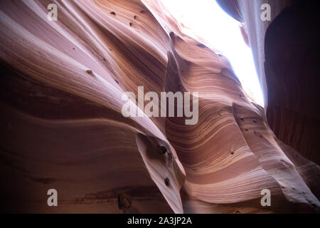 Zebra Canyon in grande scala Escalente monumento nazionale Foto Stock