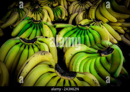 Bellissimo display di cluster di splendidamente colorate in giallo le banane presso il locale mercato fresco in Costa Rica Foto Stock