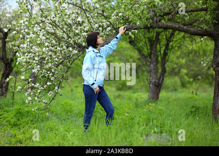 Bella donna matura in posa per la telecamera nel giardino di primavera. La ragazza gode la fioritura dei meli. Foto Stock