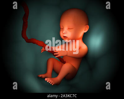 Concetto di bambino piccolo in utero su gradiente blu 3D Rendering con ombra Foto Stock