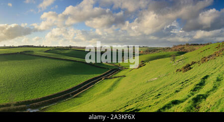 La molla nella valle tra Oborne e Poyntington, Dorset, England, Regno Unito Foto Stock
