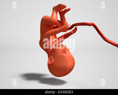 Bambino con tubo ombelicale capovolto 3D render su uno sfondo grigio con ombra Foto Stock