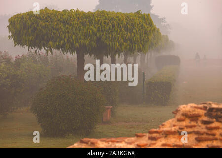 Nebbia fredda e spessa al mattino Foto Stock