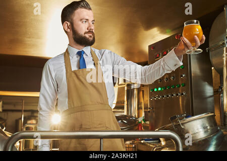 Birreria esperto il controllo di qualità della birra. Specialista di fiducia di detenzione e guardando la birra in vetro. Adulto uomo barbuto in piedi nella fabbrica di birra in prossimità di apparecchiature. Foto Stock