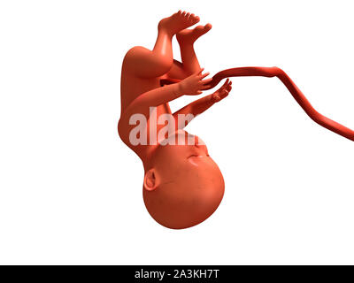 Bambino con tubo ombelicale capovolto 3D render su sfondo bianco senza ombra Foto Stock