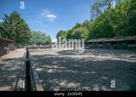 Prigioniero di inglese e la livrea del cavallo maneggio Foto Stock