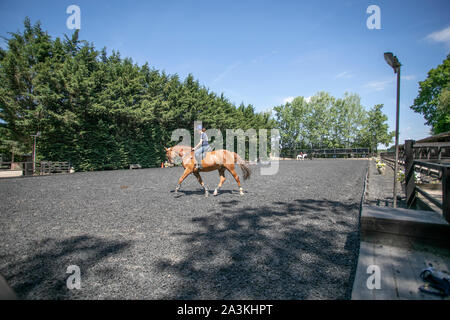 Prigioniero di inglese e la livrea del cavallo maneggio Foto Stock