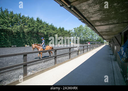 Prigioniero di inglese e la livrea del cavallo maneggio Foto Stock