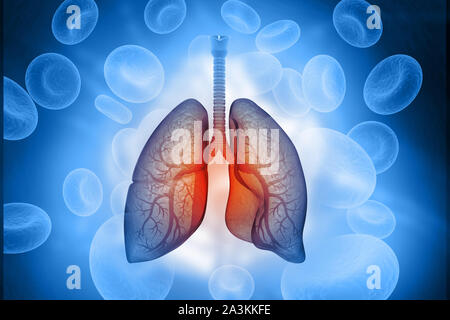 Polmoni umani anatomia. 3d illustrazione Foto Stock