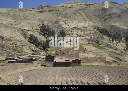 Semina di mais in area Andina, il Perù. Foto Stock