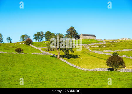 Bianco tipico paesaggio di picco dei campi e dei muri in pietra a secco, il Parco Nazionale di Peak District, Derbyshire, Regno Unito Foto Stock