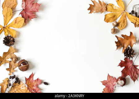 Composizione di autunno con colorate foglie secche su sfondo bianco. Appartamento laico, vista dall'alto, copia dello spazio. Foto Stock