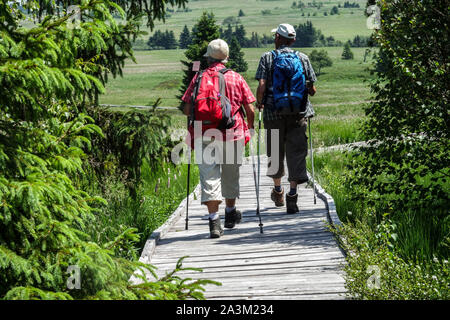 Escursioni senior, nordic walking in ore Mountains prato percorso, Repubblica Ceca escursioni, stile di vita sano anziani europei Foto Stock