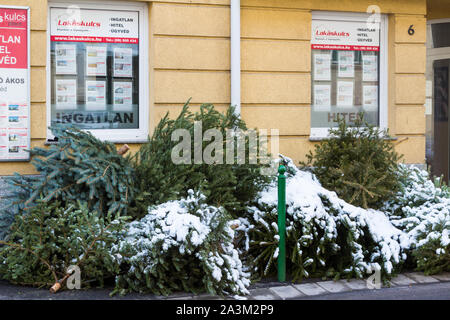 Pila di scartare gli alberi di Natale di fronte Lakaskulcs agente immobiliare windows coperto di neve a Sopron, Ungheria Foto Stock