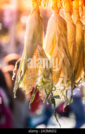 Abbondanza di organico fresco pelato calli Foto Stock