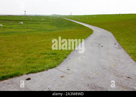 Cuxhaven-Altenbruch, Cuxhaven, Bassa Sassonia, Germania, Europa Foto Stock