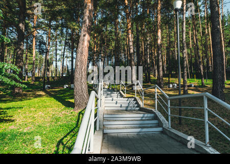 Vista, cercando di sommità di una lunga scala si trova in una foresta. Parte di un sentiero escursionistico e utilizzato per collegare i punti di vista. Verticale vista anteriore Foto Stock