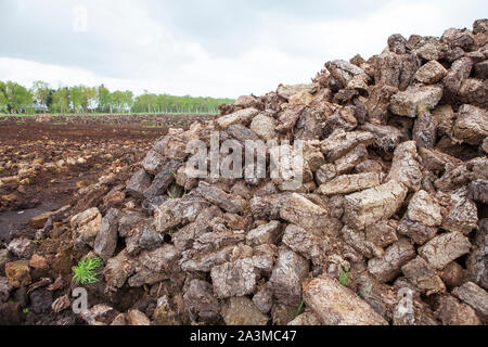 Estrazione di torba, Bassa Sassonia, Germania del nord Europa Foto Stock