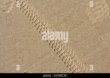 Piste ciclabili su una spiaggia di sabbia in estate sfondo astratto Foto Stock