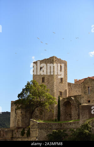 Colliure, francia : 2019 ottobre 06 : il castello reale della città turistica di Colliure in Occitania, Francia. Foto Stock