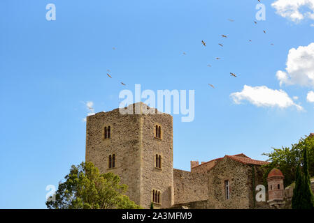 Colliure, francia : 2019 ottobre 06 : il castello reale della città turistica di Colliure in Occitania, Francia. Foto Stock