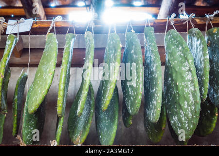 Naturali tradizionali morendo in Oaxaca, Messico Foto Stock