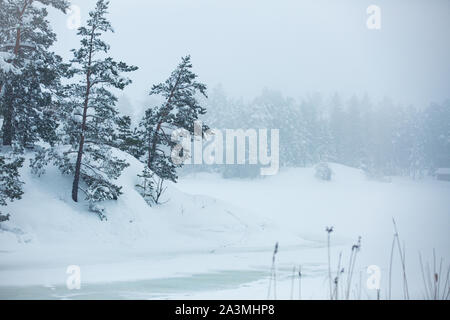Finlandia, Espoo in inverno. Mar baltico costa ricoperta di neve nel nebbioso giorno. Isola con la foresta di alberi di pino e snow white land. Scenic Scandi pacifica Foto Stock