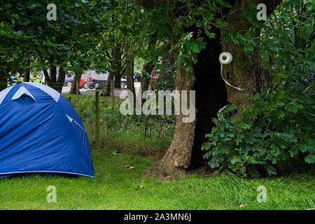 Camping umorismo divertente mock wc esterno nel vecchio albero cavo accanto a una tenda. Carta igienica attaccato all'albero per effetto rendendo comica immagine esterna. Foto Stock