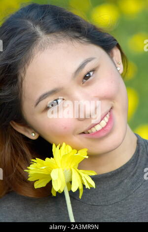 Bella asiatica sorridente femmina con una margherita Foto Stock