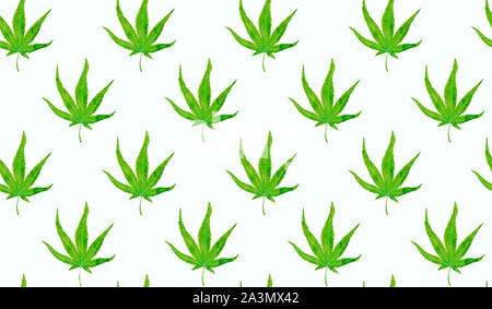 Acero giapponese (marihuana forma) foglie verdi, dipinto a mano ad acquarello, illustrazione perfetta design pattern su sfondo bianco Foto Stock