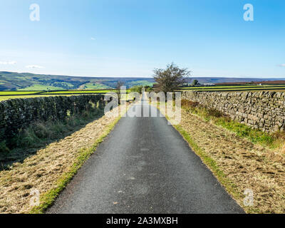 Wath Lane in Nidderdale vicino ponte Pateley North Yorkshire, Inghilterra Foto Stock