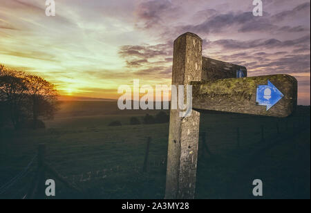 South Downs modo dito in legno post segno vicino a Steyning Bowl, South Downs National Park, West Sussex, in Inghilterra, Regno Unito Foto Stock