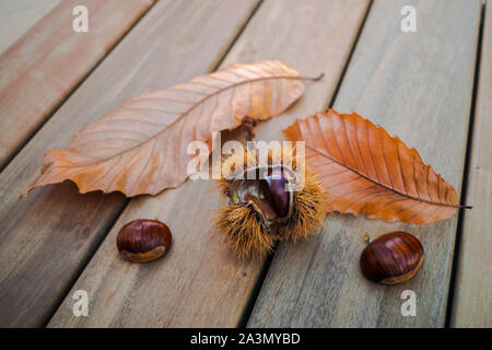 Le castagne e foglie secche su una superficie di legno Foto Stock