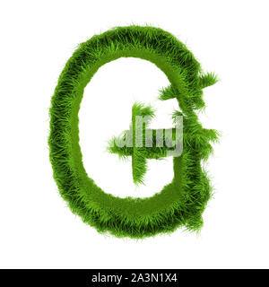 Lettera G fatti di erba verde isolato su bianco. Il rendering 3d. Foto Stock
