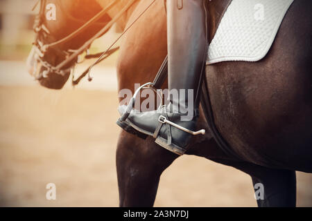 Il piede del conducente, seduto su una baia a cavallo, è vestito con una pelle nera con avvio di uno sperone di roccia che è inserito nella staffa Foto Stock