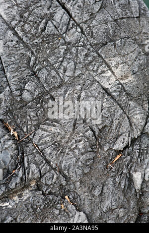 Superficie di roccia al Lago Otjikoto vicino Tsumeb Namibia Foto Stock