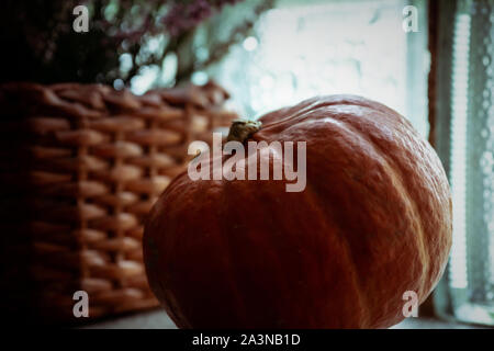 Zucca di Halloween e i fiori sul davanzale. Halloween vibes, autunno umore concept Foto Stock