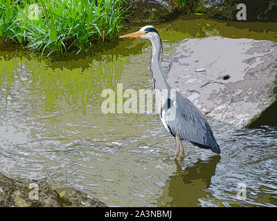 Illustrazione - Graureiher (Ardea cinerea) in fliessendem Gewässer auf Futtersuche Foto Stock