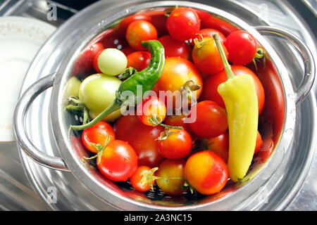 Appena raccolto il peperoncino e pomodori selezionato Foto Stock