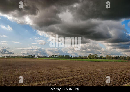 Drammatica pioggia nuvole su un campo di raccolta. Vista panoramica. Foto Stock