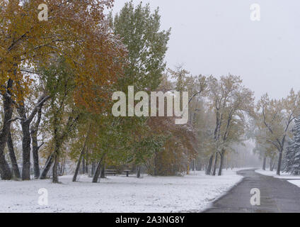 Bowness Park Calgary Alberta Foto Stock